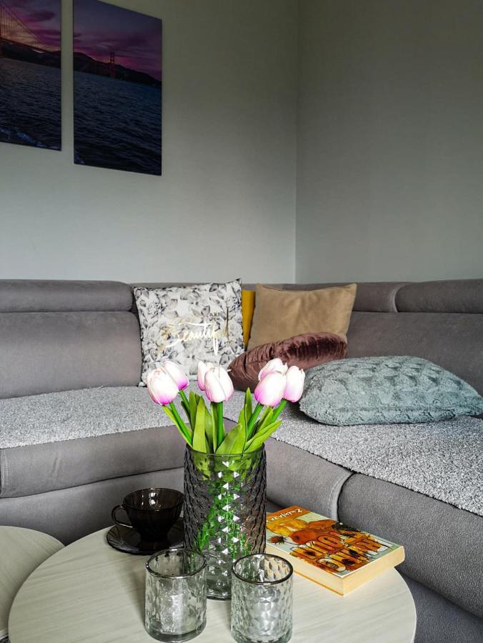 Apartman Jela Нова-Варош Экстерьер фото