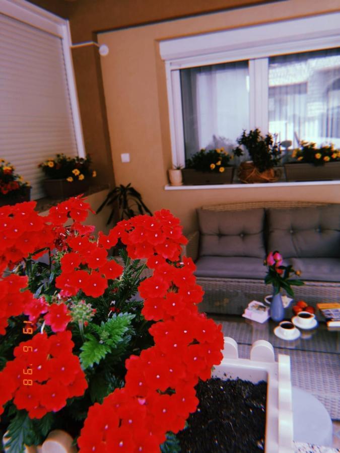 Apartman Jela Нова-Варош Экстерьер фото