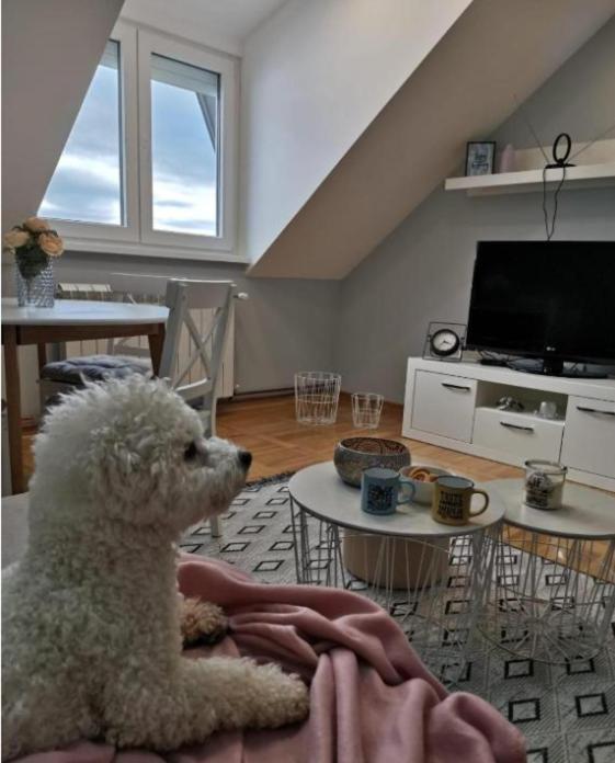 Apartman Jela Нова-Варош Экстерьер фото