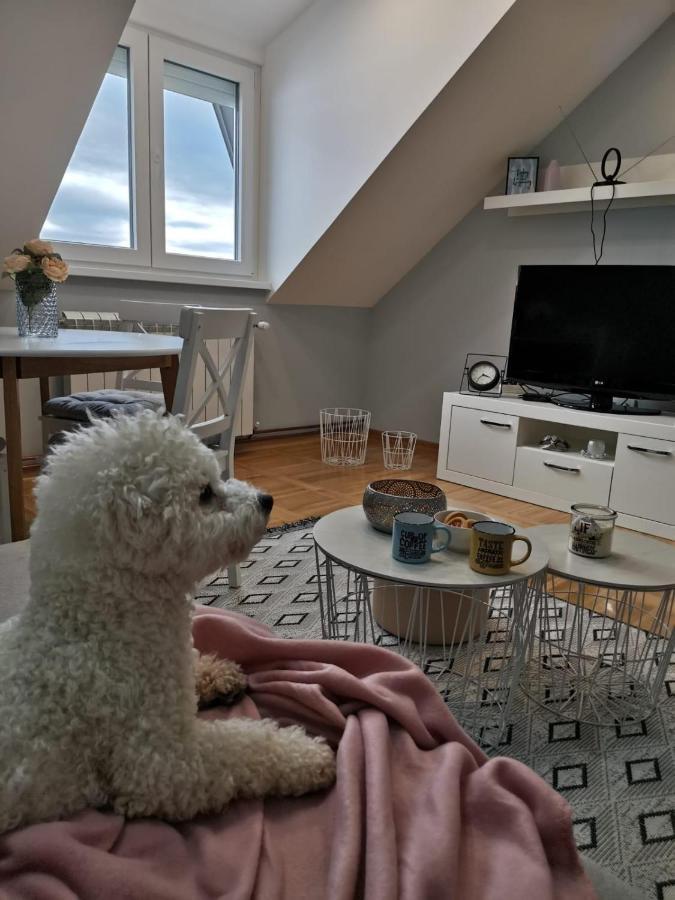 Apartman Jela Нова-Варош Экстерьер фото